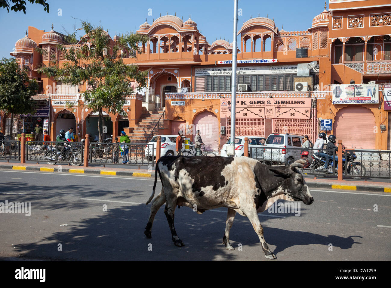 Jaipur, Rajasthan, India. Street Scene on a Main Street in 'The Pink City.' Stock Photo