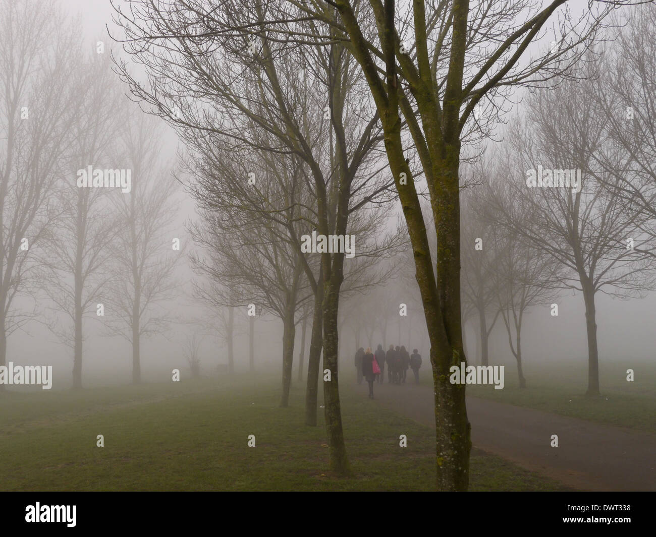 A group of school children walking to school in the fog through the trees Stock Photo