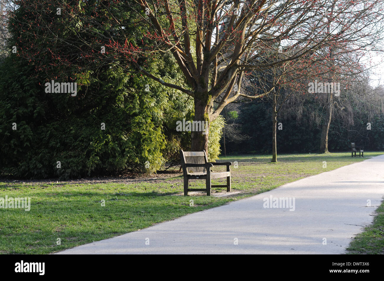 Park bench in Tilgate Park, West Sussex Stock Photo