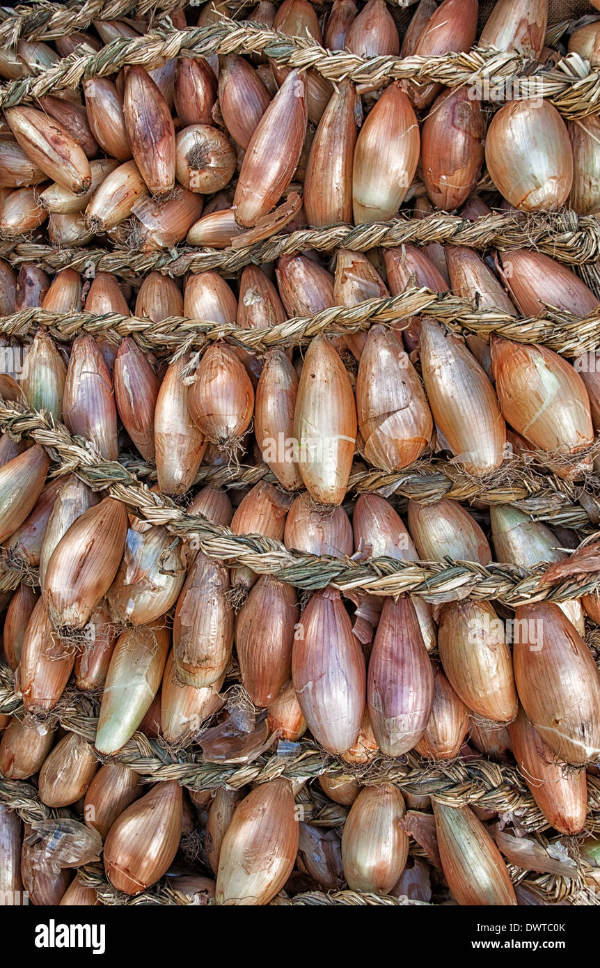 Braids of onions, Market, Guimaraes, Minho, Portugal Stock Photo
