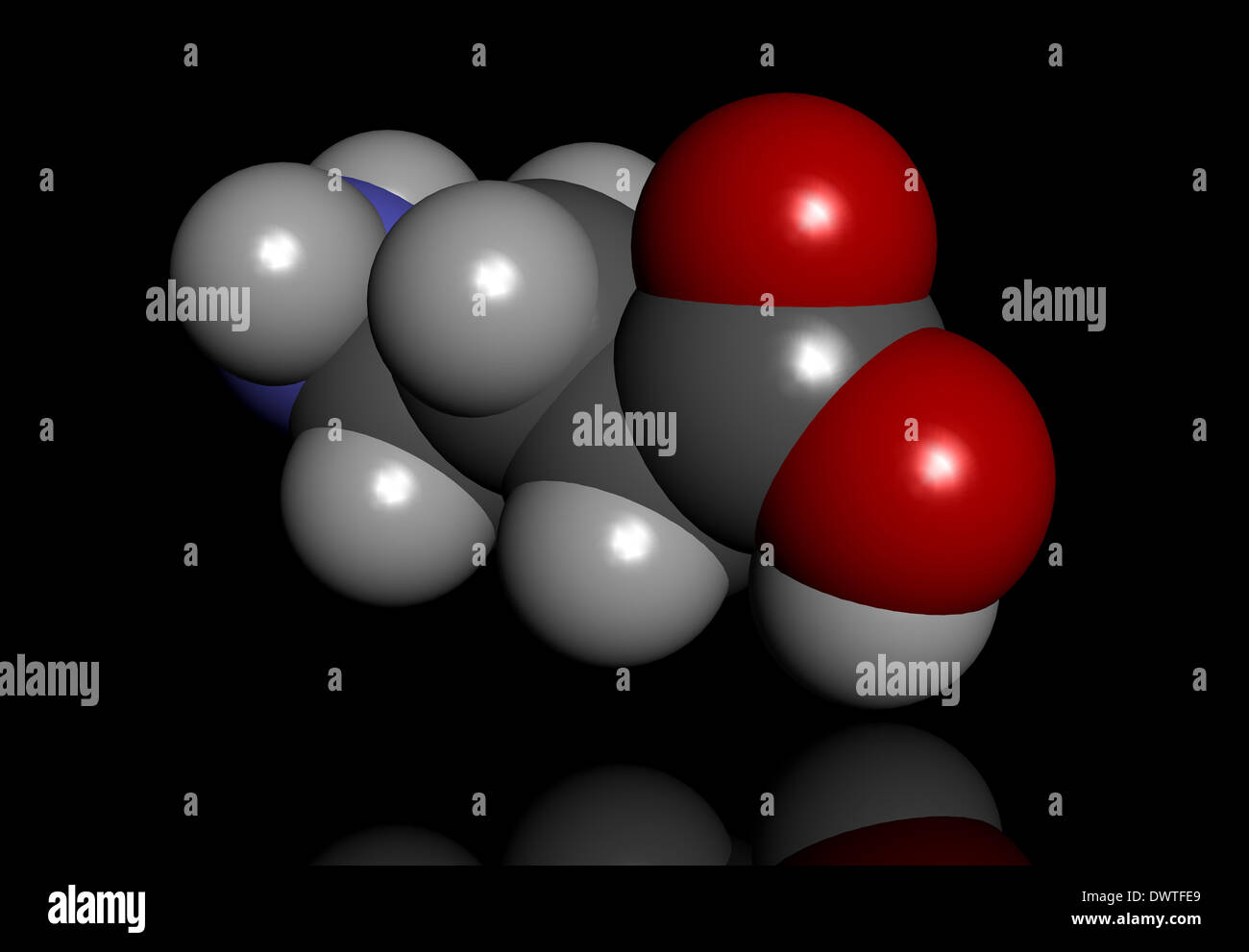 Gamma aminobutyric acid gaba molecule hi-res stock photography and ...