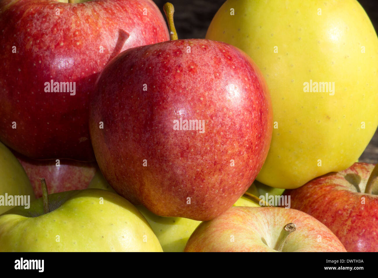 Apples Stock Photo