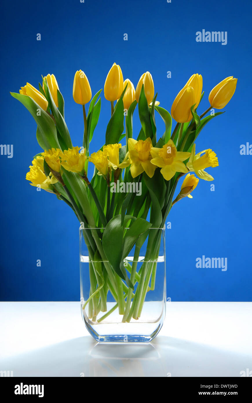A bouquet of yellow flowers with green leaves Stock Photo