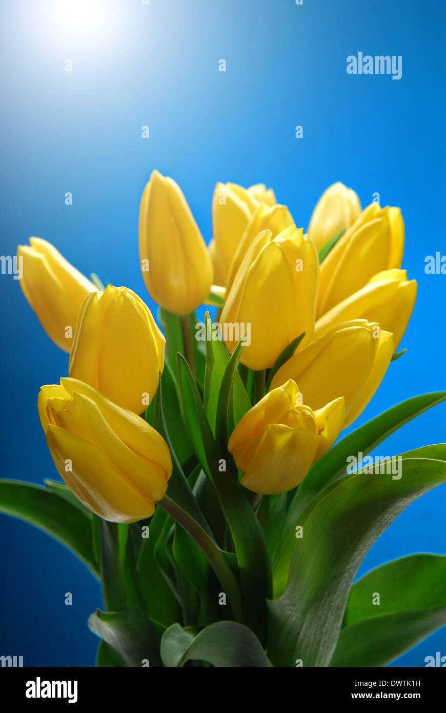 A bouquet of yellow flowers with green leaves Stock Photo