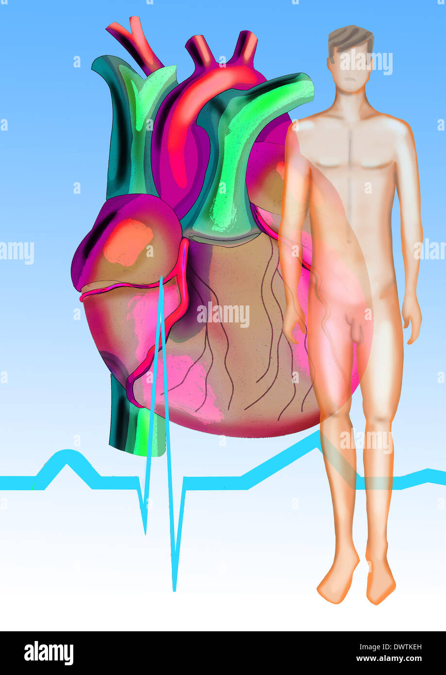 Cardiac rythm drawing Stock Photo - Alamy