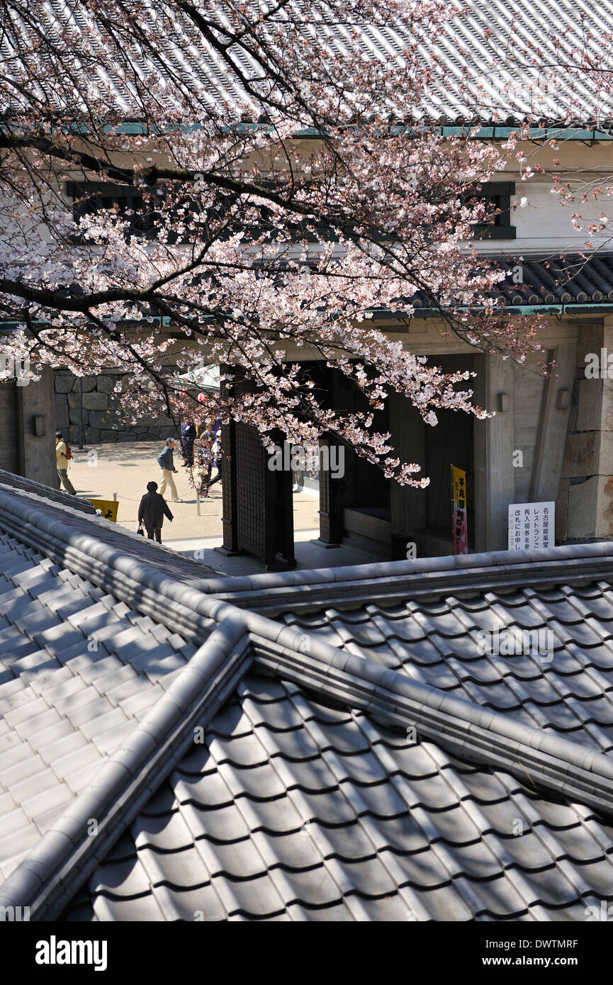 Traditional Japanese roofs and cherry blossom in Nagoya castle complex. Stock Photo