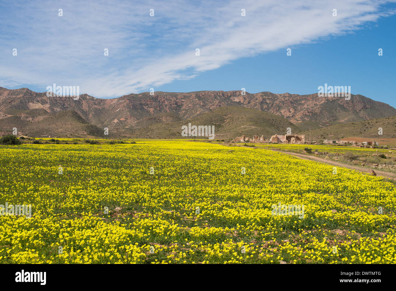 Spring at charming Andalusian natural park of Cabo de Gata Stock Photo