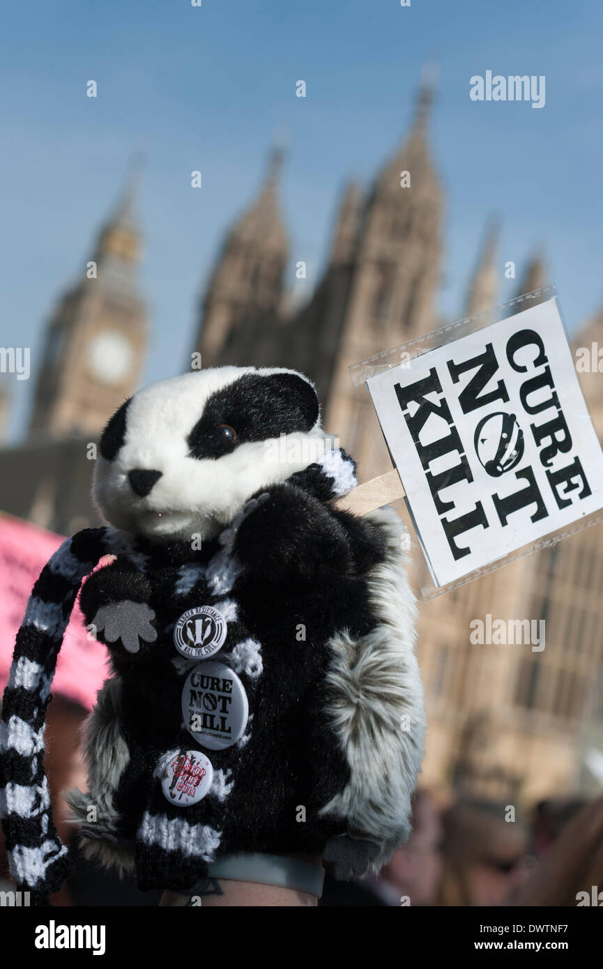 Old Palace Yard, London, UK. 13th March 2014.  To coincide with a debate in Parliament, the Badger Trust and Care for the Wild organised a peaceful anti cull protest at Old Palace Yard opposite Parliament in London. Credit:  Lee Thomas/Alamy Live News Stock Photo