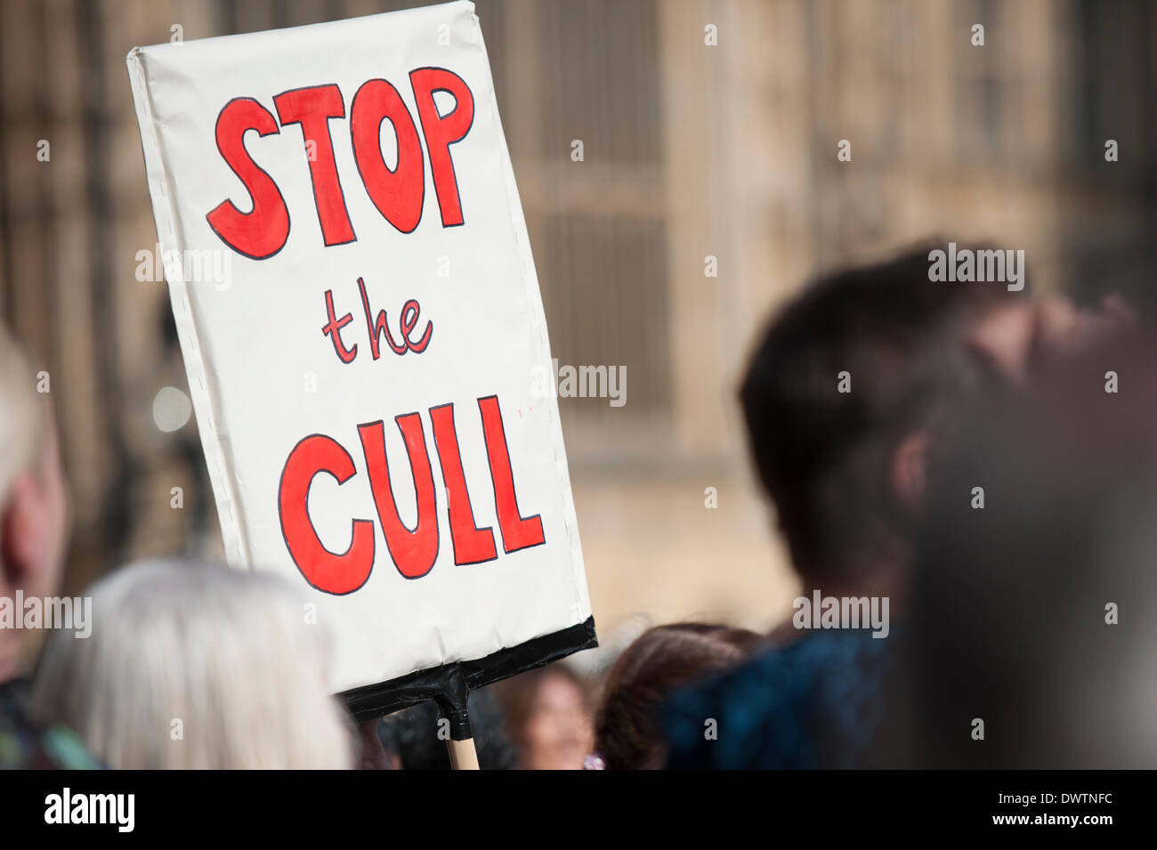 Old Palace Yard, London, UK. 13th March 2014.  To coincide with a debate in Parliament, the Badger Trust and Care for the Wild organised a peaceful anti cull protest at Old Palace Yard opposite Parliament in London. Credit:  Lee Thomas/Alamy Live News Stock Photo