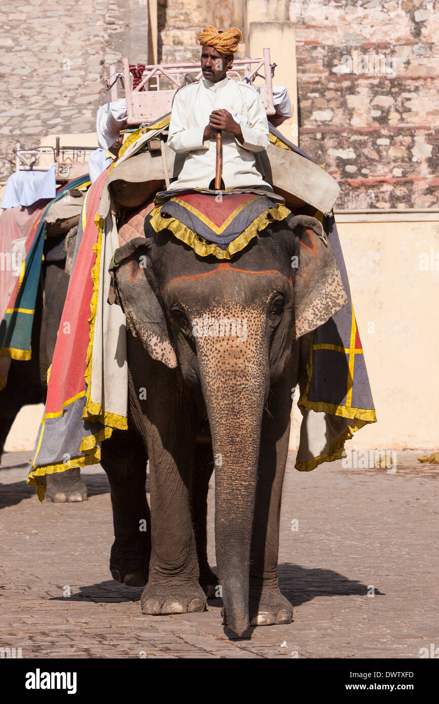 Amber (or Amer) Palace, near Jaipur, Rajasthan, India. Mahout on Elephant used to Carry Tourists to the Palace Courtyard. Stock Photo