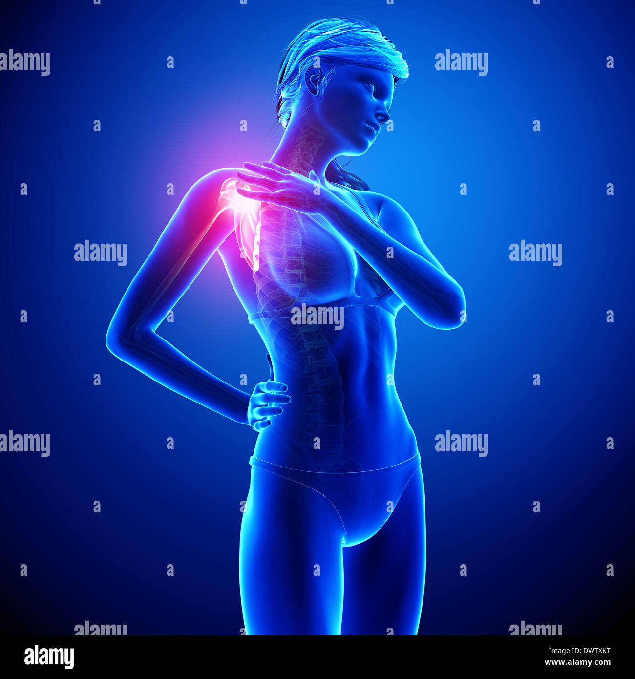 Shoulder pain woman drawing hi-res stock photography and images - Alamy