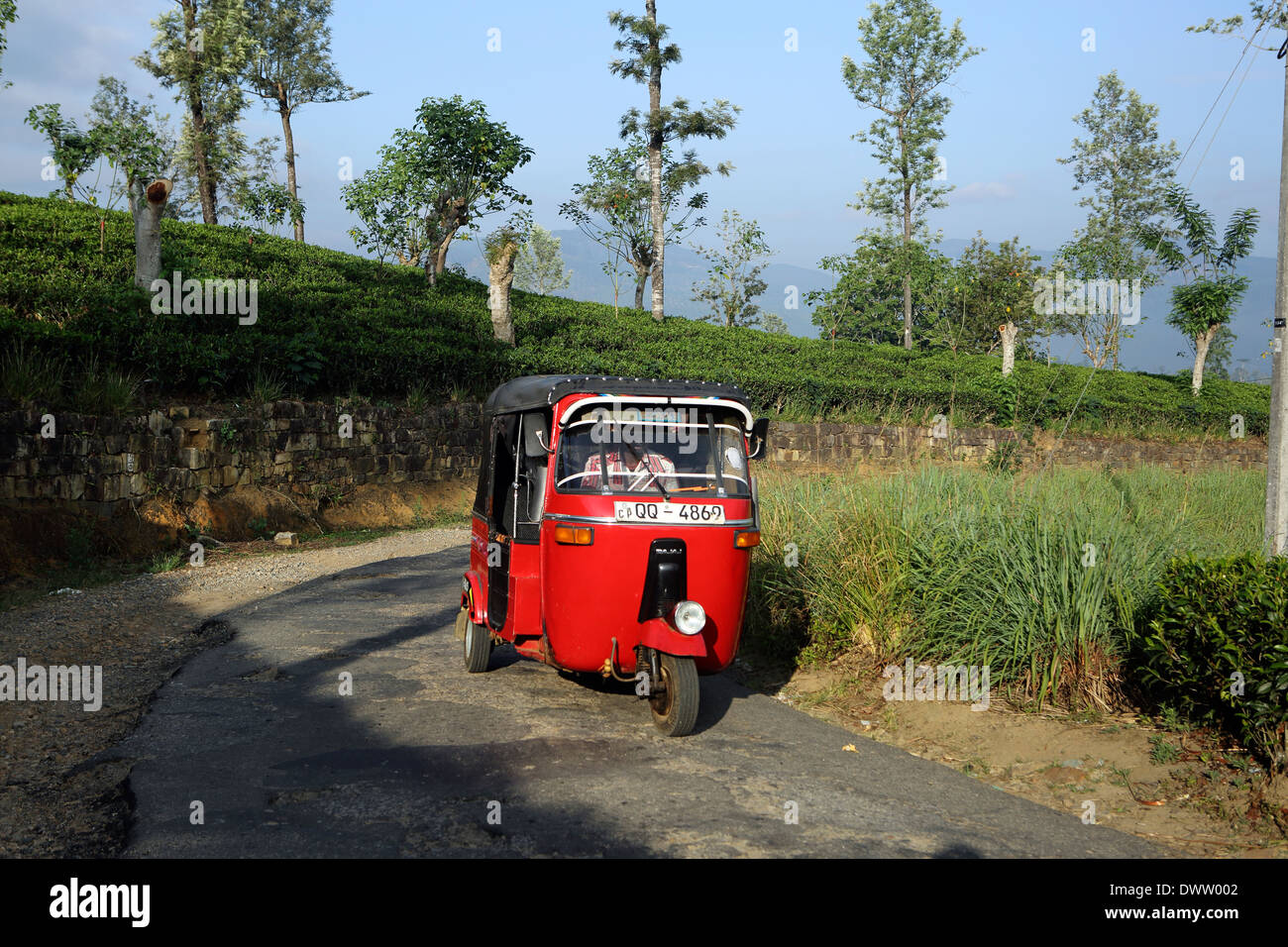 Tuk tuk motor taxi driving along main road through tea plantations in the Sri Lanka highlands Stock Photo