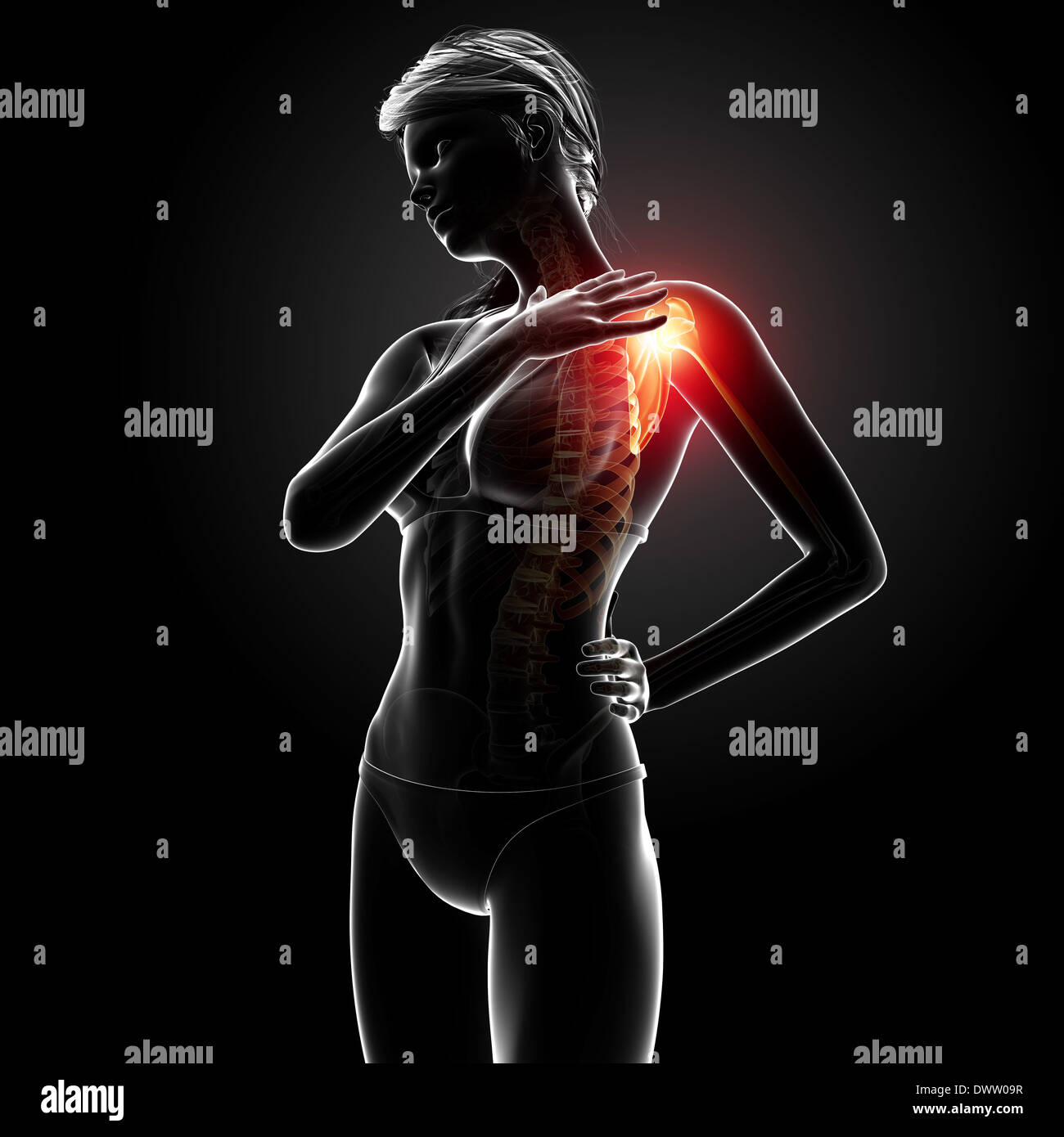 Shoulder pain woman drawing hi-res stock photography and images - Alamy