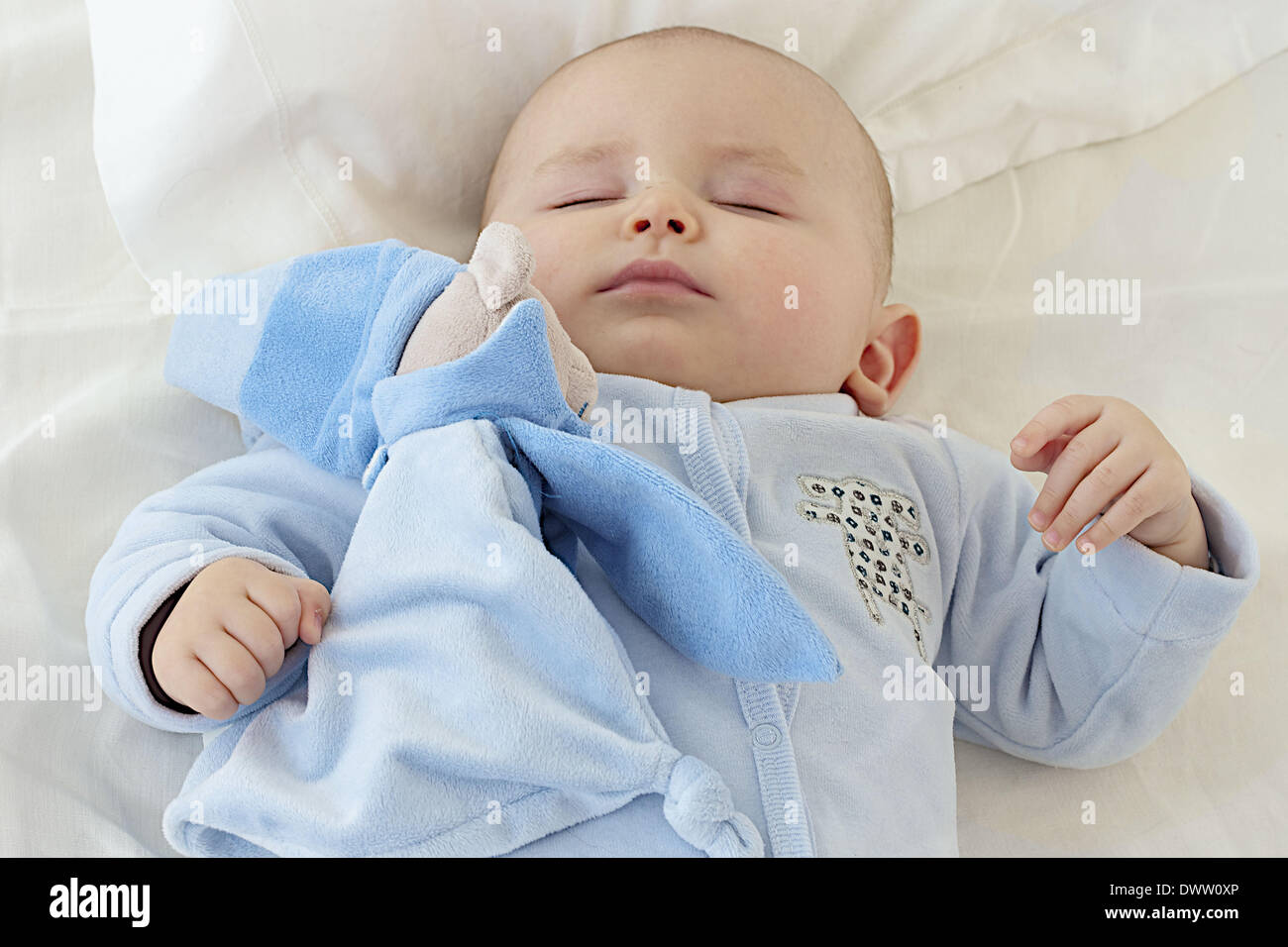 6 month old baby asleep hi-res stock photography and images - Alamy