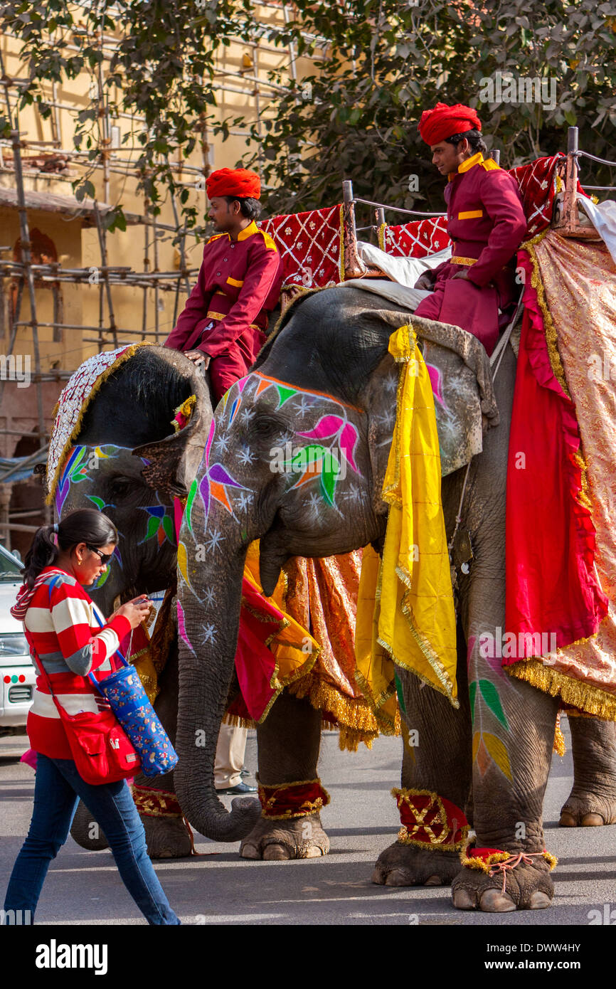 Jaipur, Rajasthan, India. Mahouts and their Elephants Preparing to Lead a Wedding Procession. Stock Photo