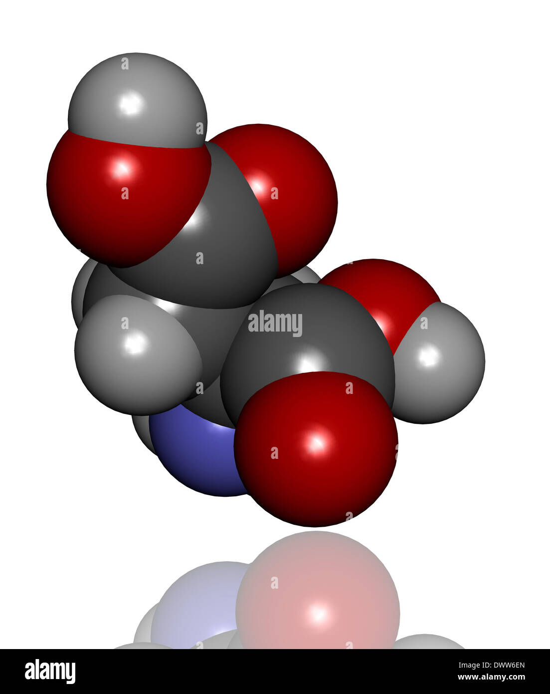 Aspartate hires stock photography and images Alamy