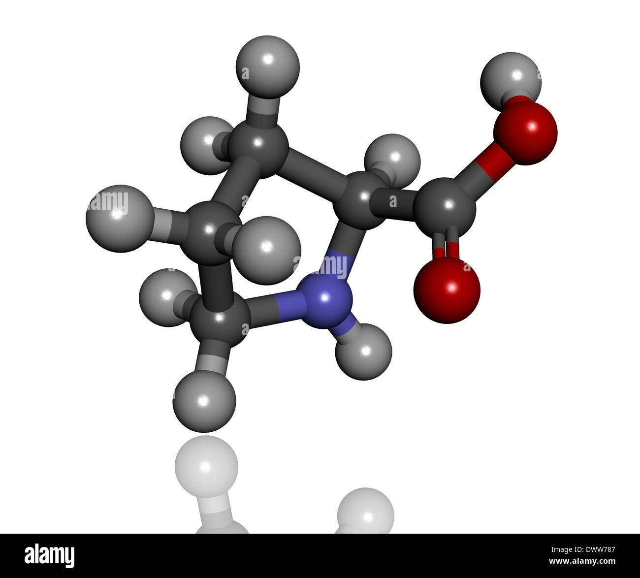 Molecule of proline hires stock photography and images Alamy