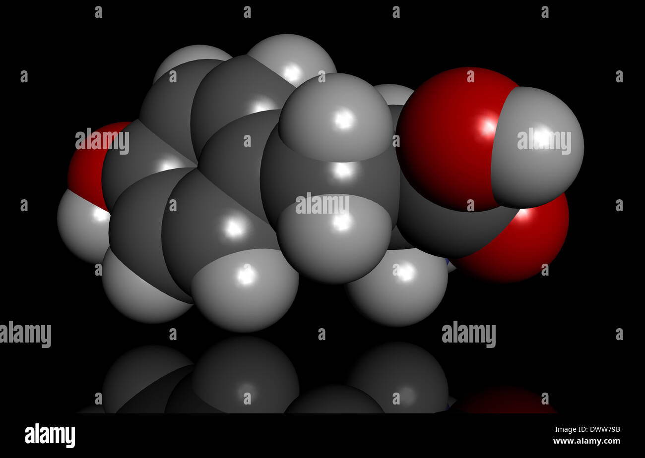 Tyrosine amino acid molecule hi-res stock photography and images - Alamy