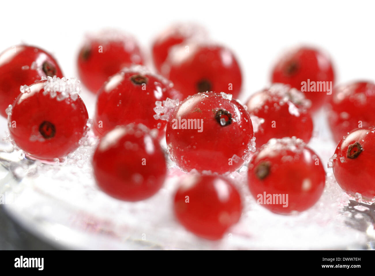 Redcurrant fruit Stock Photo