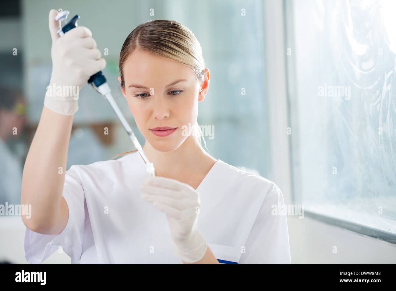 Scientist Filling Liquid Into Test Tube In Medical Lab Stock Photo Alamy