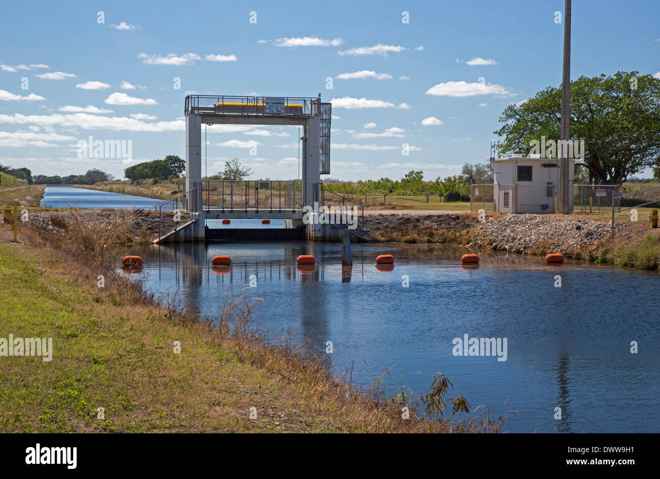 South Florida Canal Stock Photo Alamy
