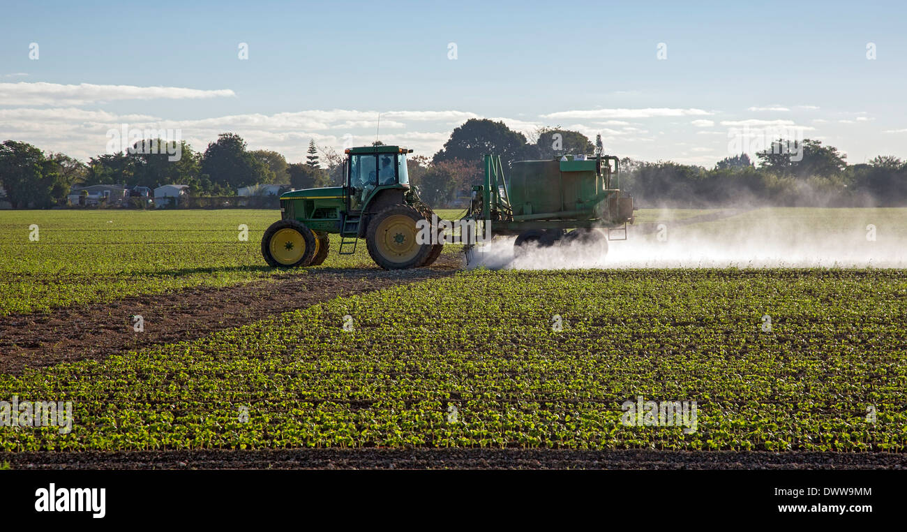 Florida City, Florida - A tractor driver sprays pesticide on a crop. Stock Photo