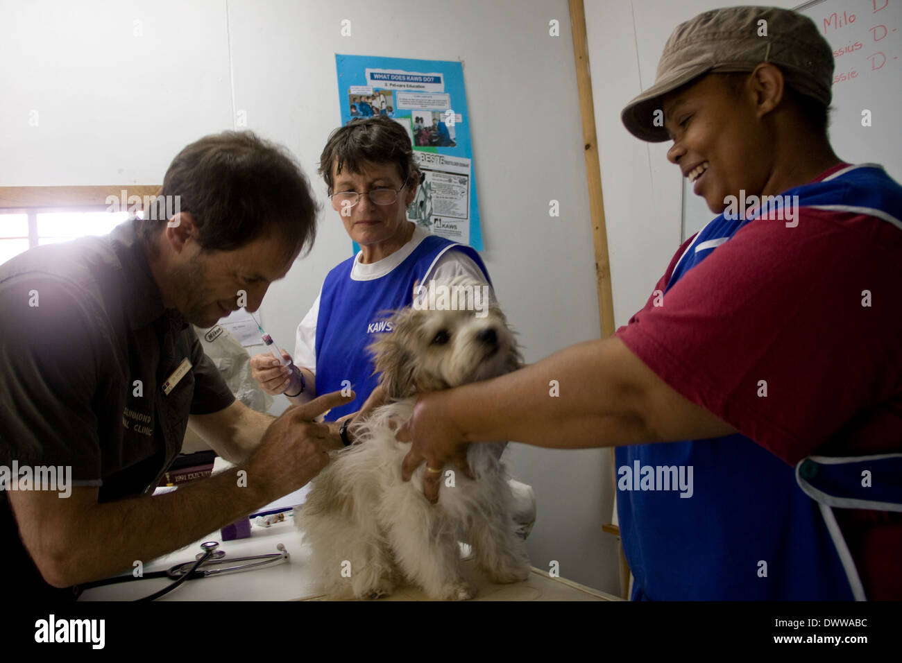 Kaaws hotsell vet clinic