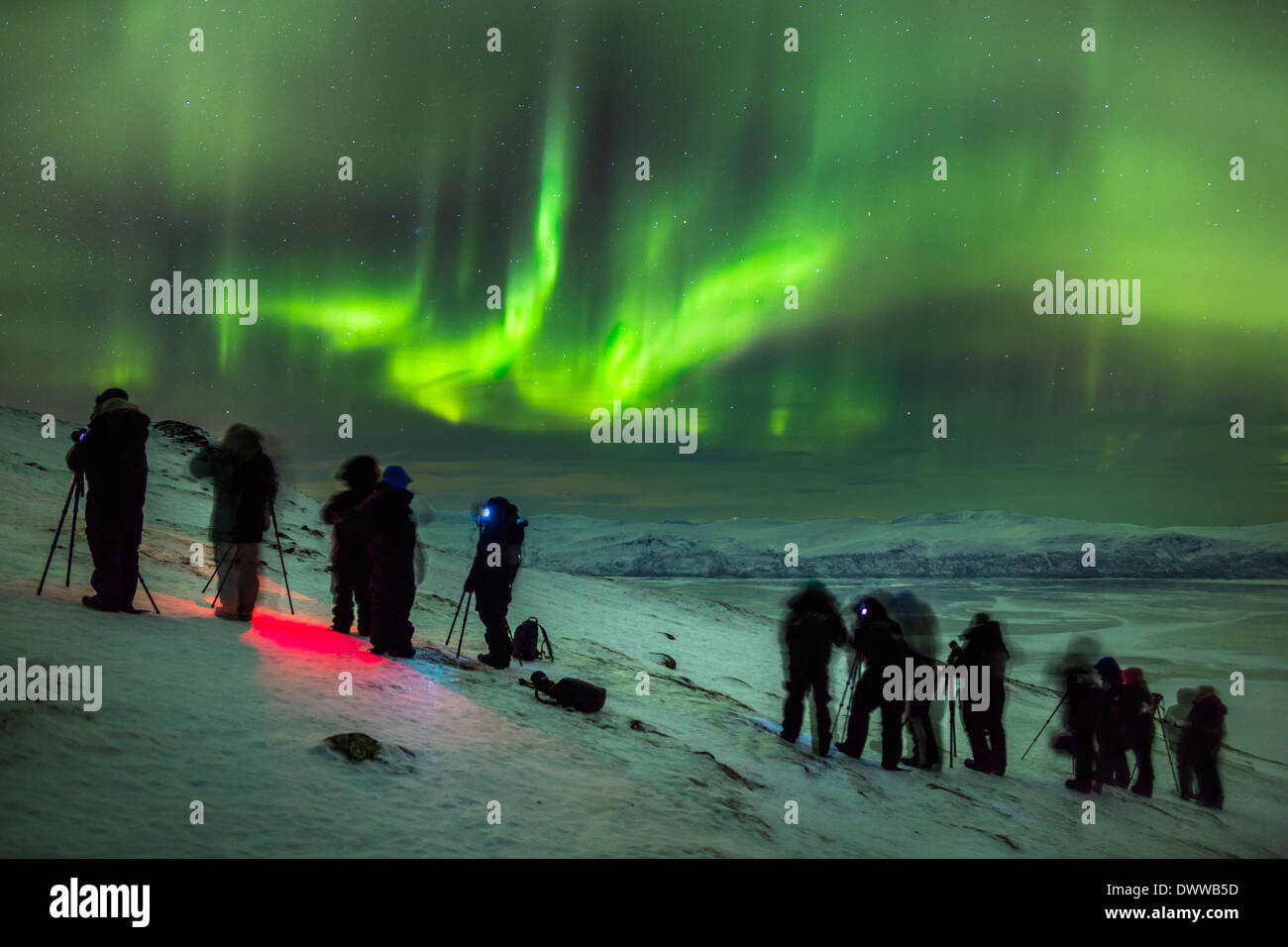 hånd Forfatter forseelser Aurora Borealis or Northern Lights at The Abisko Sky Station, Abisko,  Lapland, Sweden. Cold temperatures as low as -47 celsius Stock Photo - Alamy