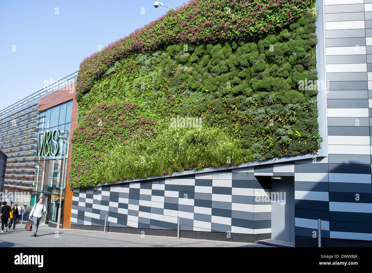 Living Wall on Marks and Spencers Store on Norwick Norfolk UK Stock