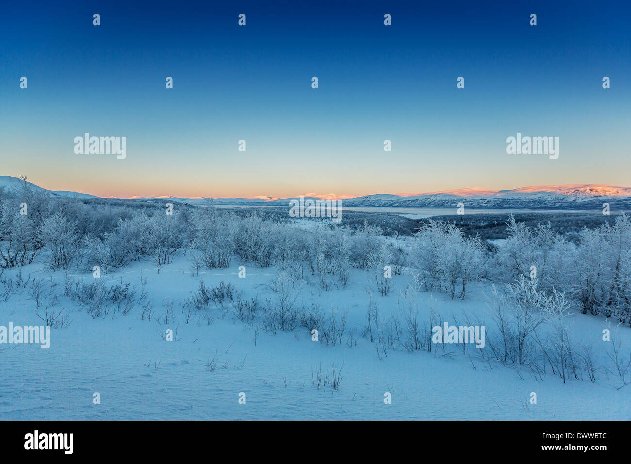 Frozen landscape, cold temperatures, Lapland, Sweden Stock Photo Alamy