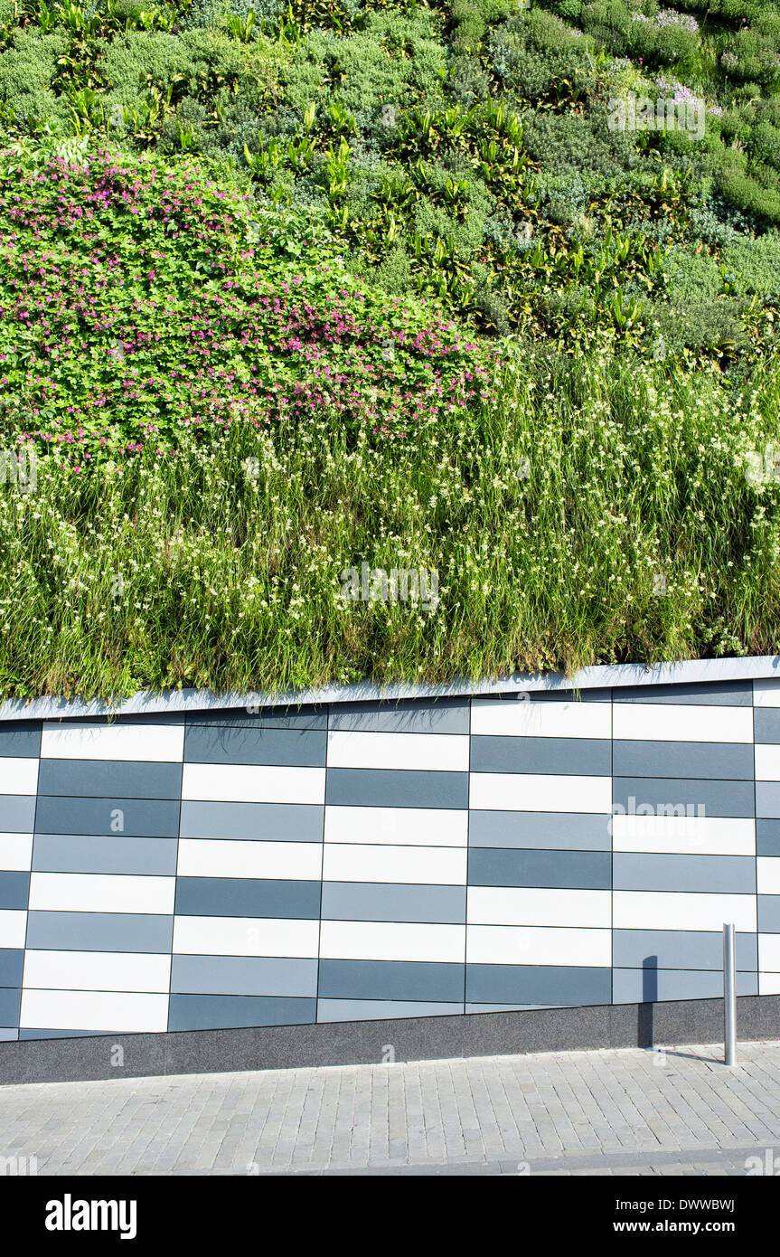 Living Wall on Marks and Spencers Store on Norwick Norfolk UK Stock
