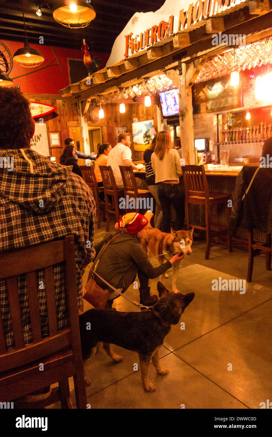 pub dog brewery pub dog brewery
