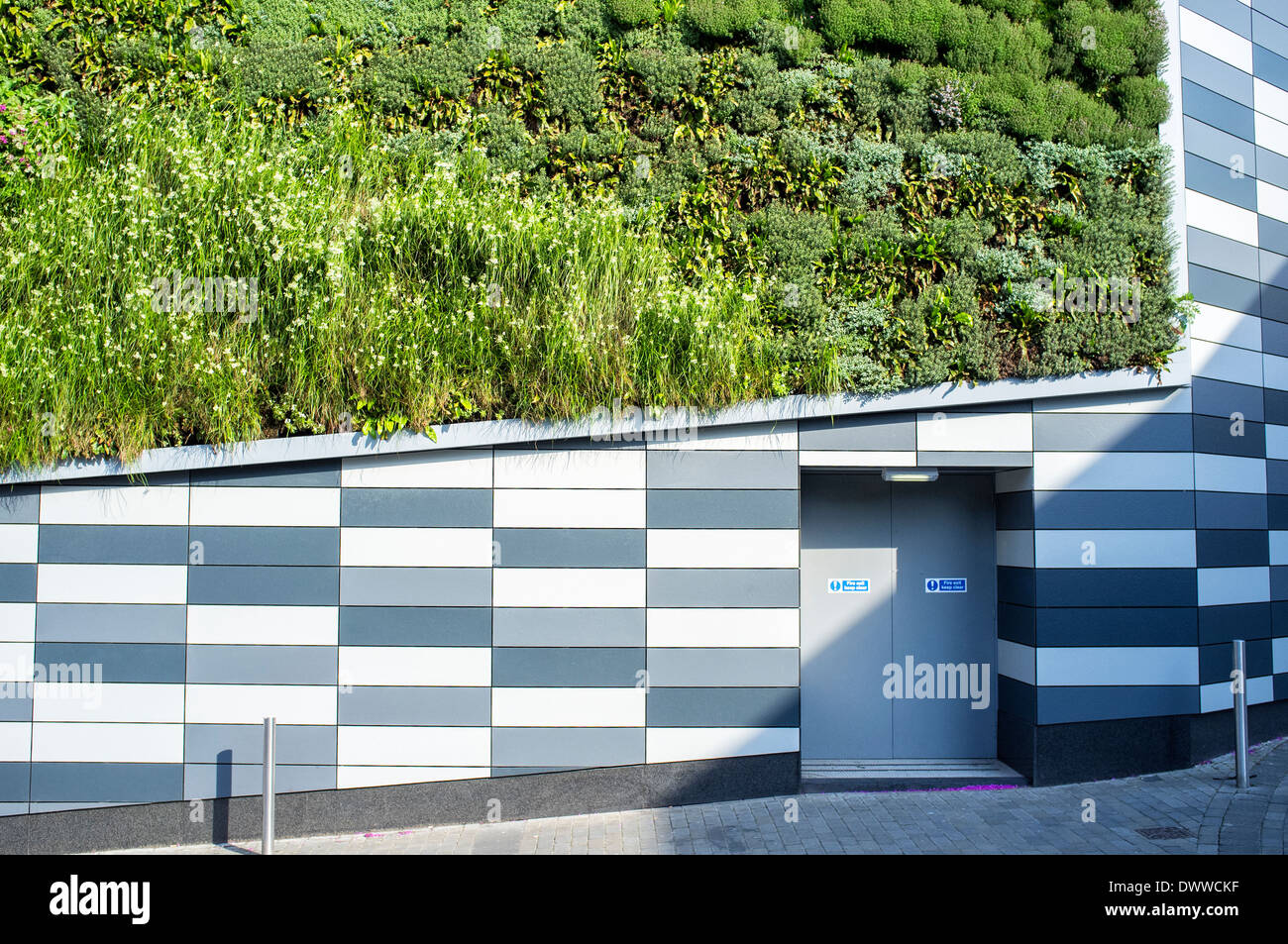 Living Wall on Marks and Spencers Store on Norwick Norfolk UK Stock