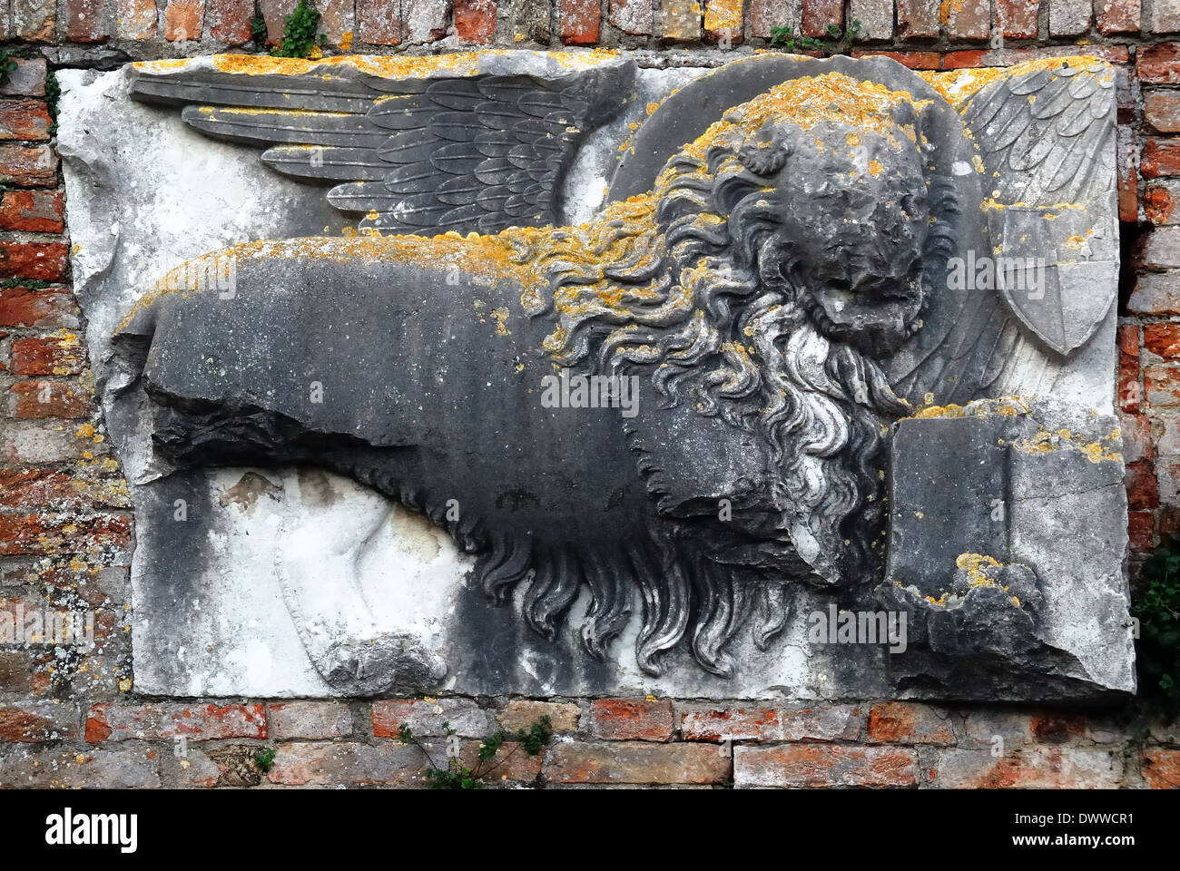 Venice lagoon, island of Torcello. The medieval museum : stone bas-relief depicting the lion of St. Mark (leone di San Marco). Stock Photo