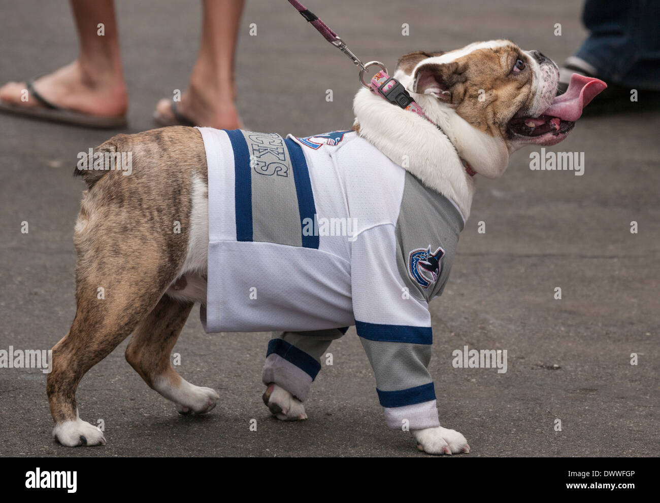 Canucks jersey hi-res stock photography and images - Alamy