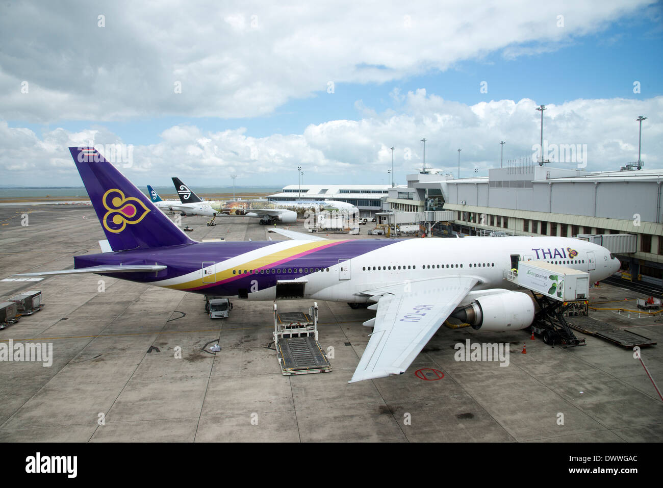 Thai Airways Boeing 777 on a stand at Auckland International Airport North Island New Zealand Stock Photo