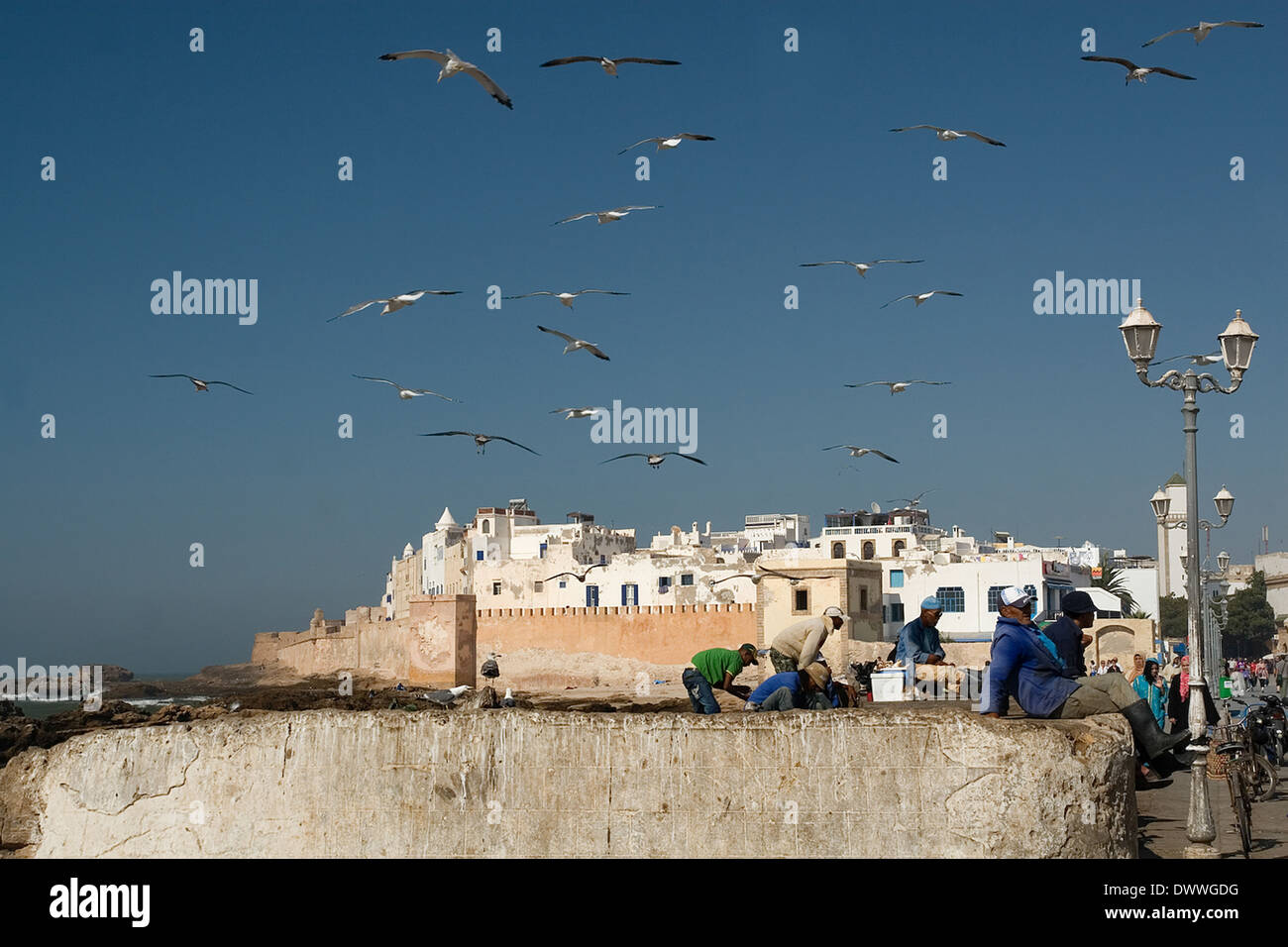 Fishermen at the fishing port with the walled medina in the background in Essaouira, Morocco Stock Photo