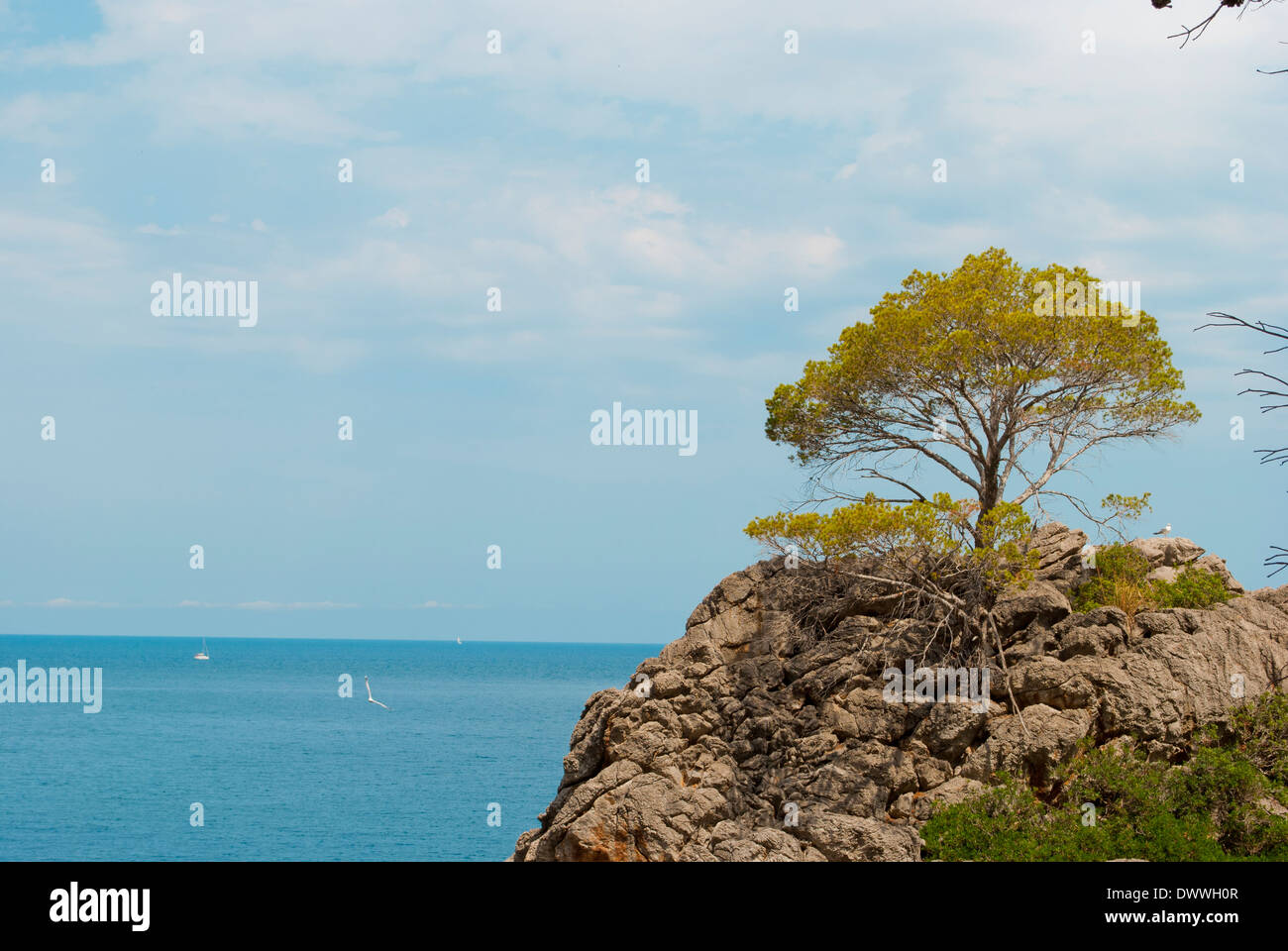 Mediterranean landscape in Mallorca Stock Photo