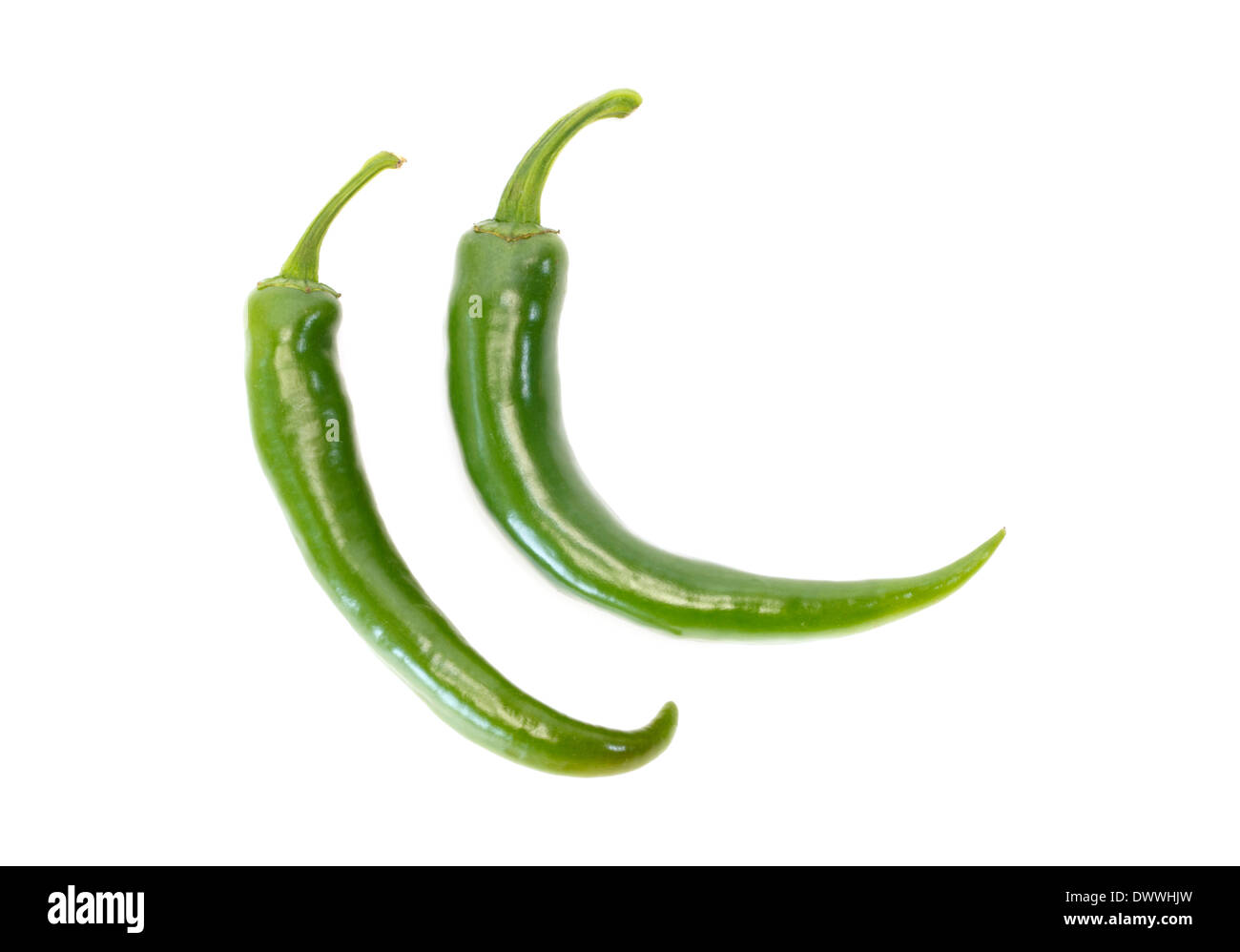 Two fresh green chile pepper against white background Stock Photo Alamy