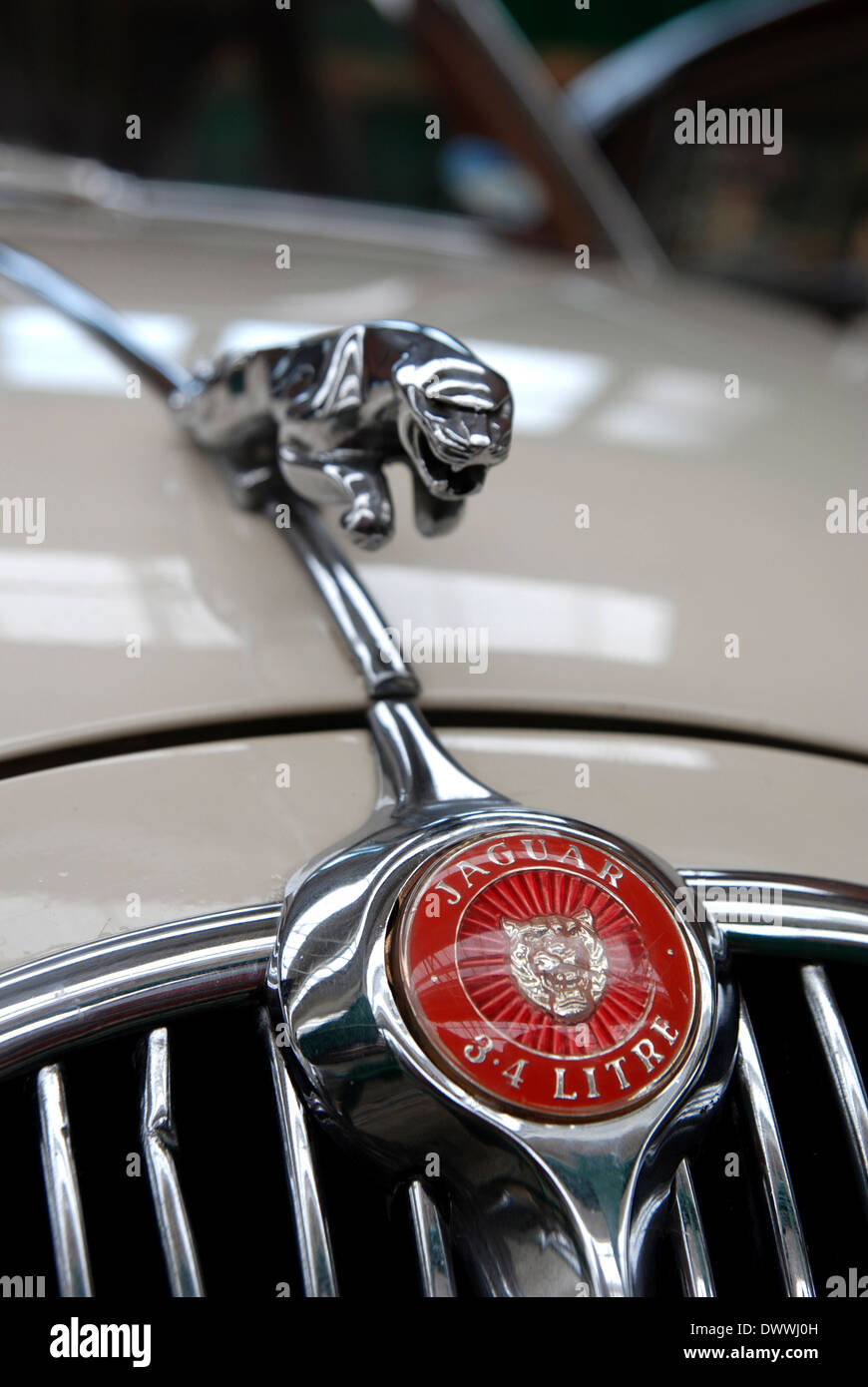 A vintage Jaguar car badge Stock Photo Alamy