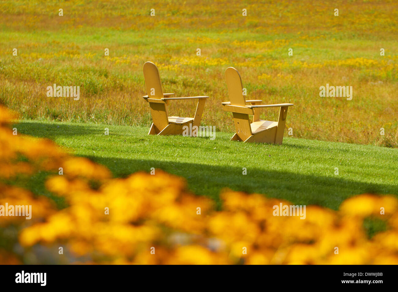 Adirondack chairs in field Stock Photo