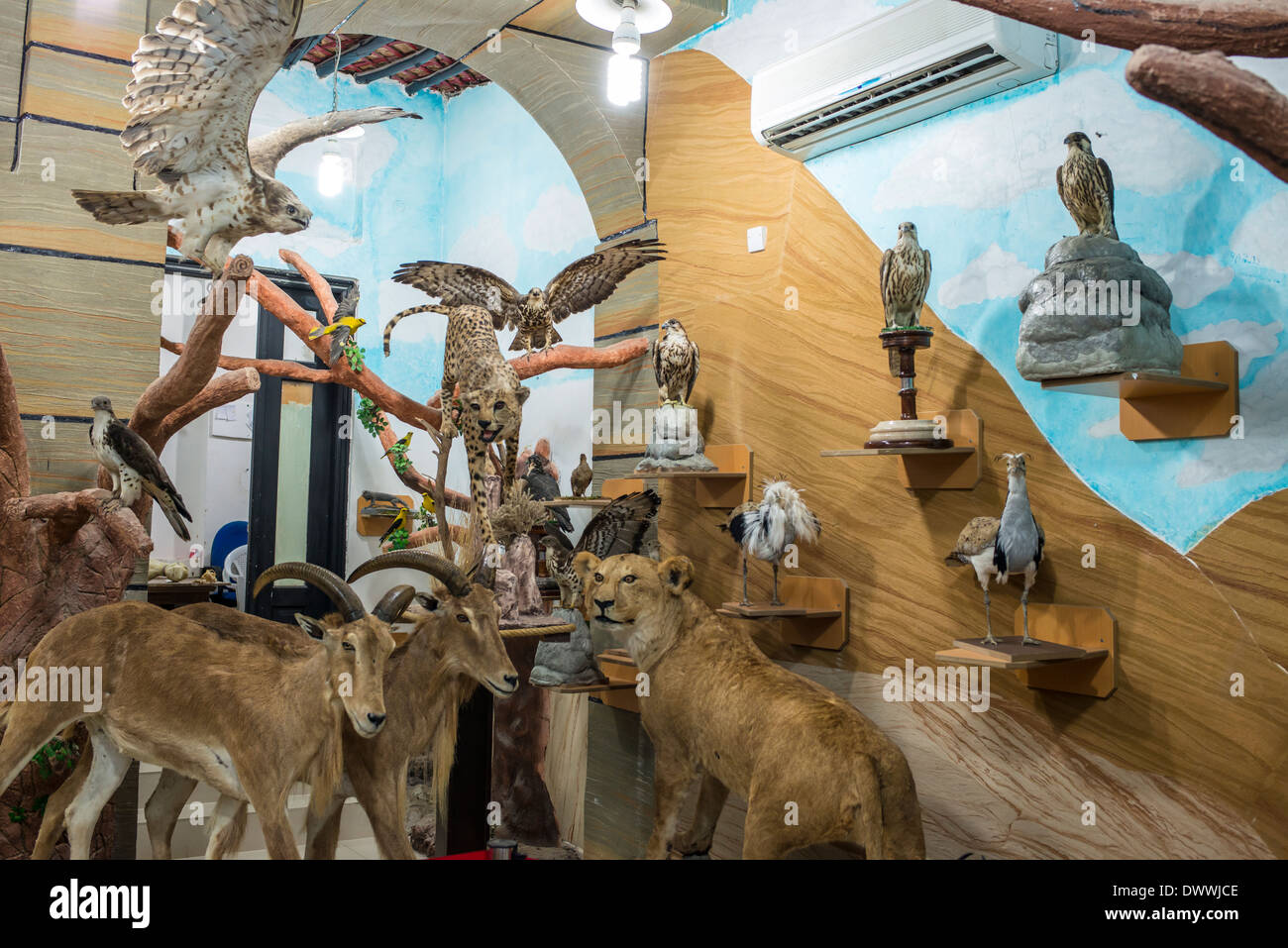 Stuffed animal for sale in the Souq Waqif, Doha Stock Photo Alamy