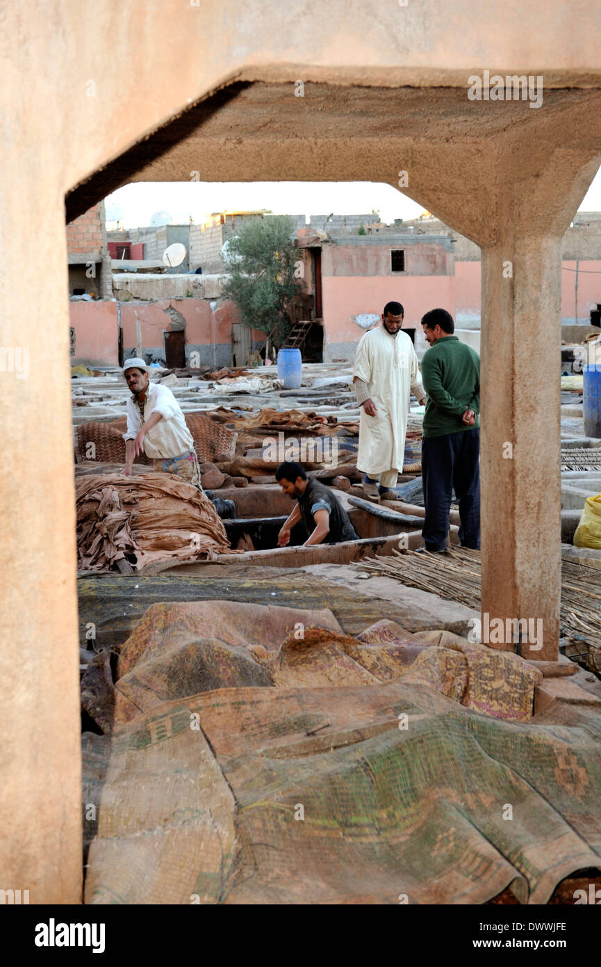Men working in Marrakech tannery vats for preparing sheep and goat hides for leather Stock Photo