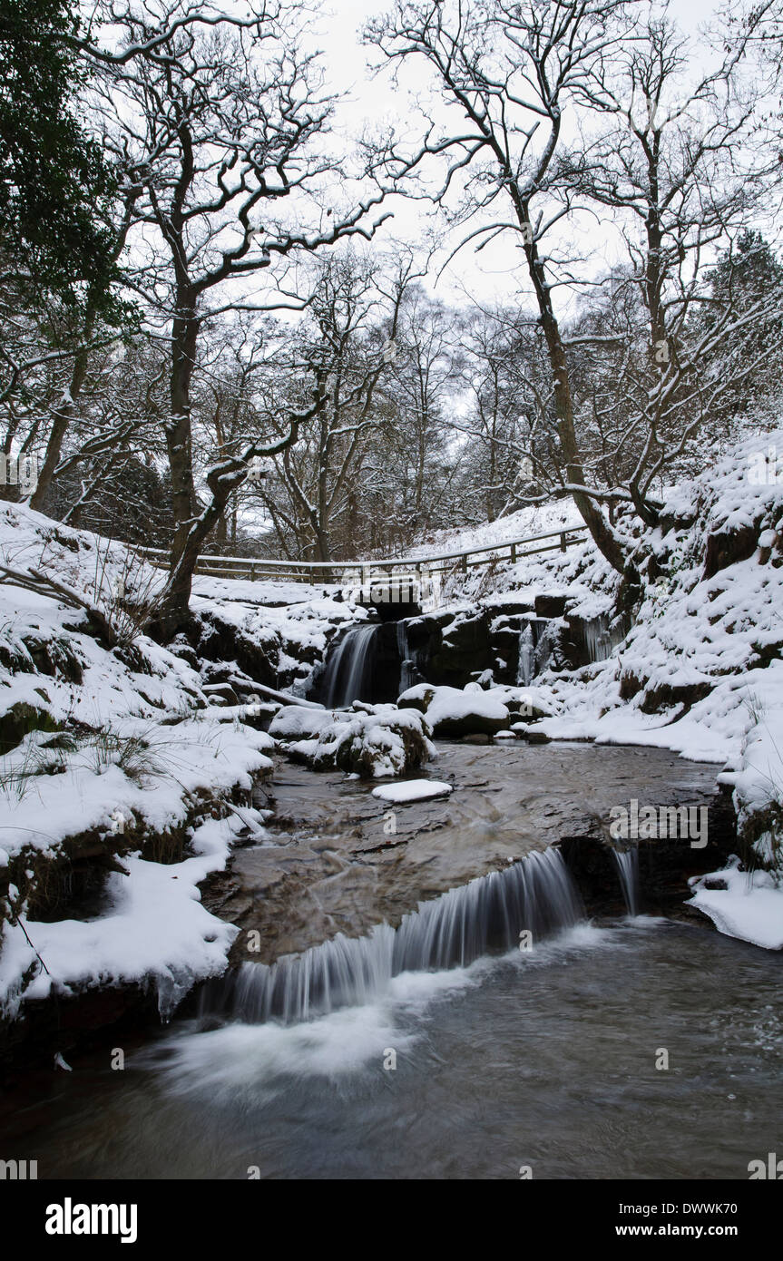 Blow Gill flowing through snow covered woodland, near Hawnby in the North York Moors National Park. January. Stock Photo