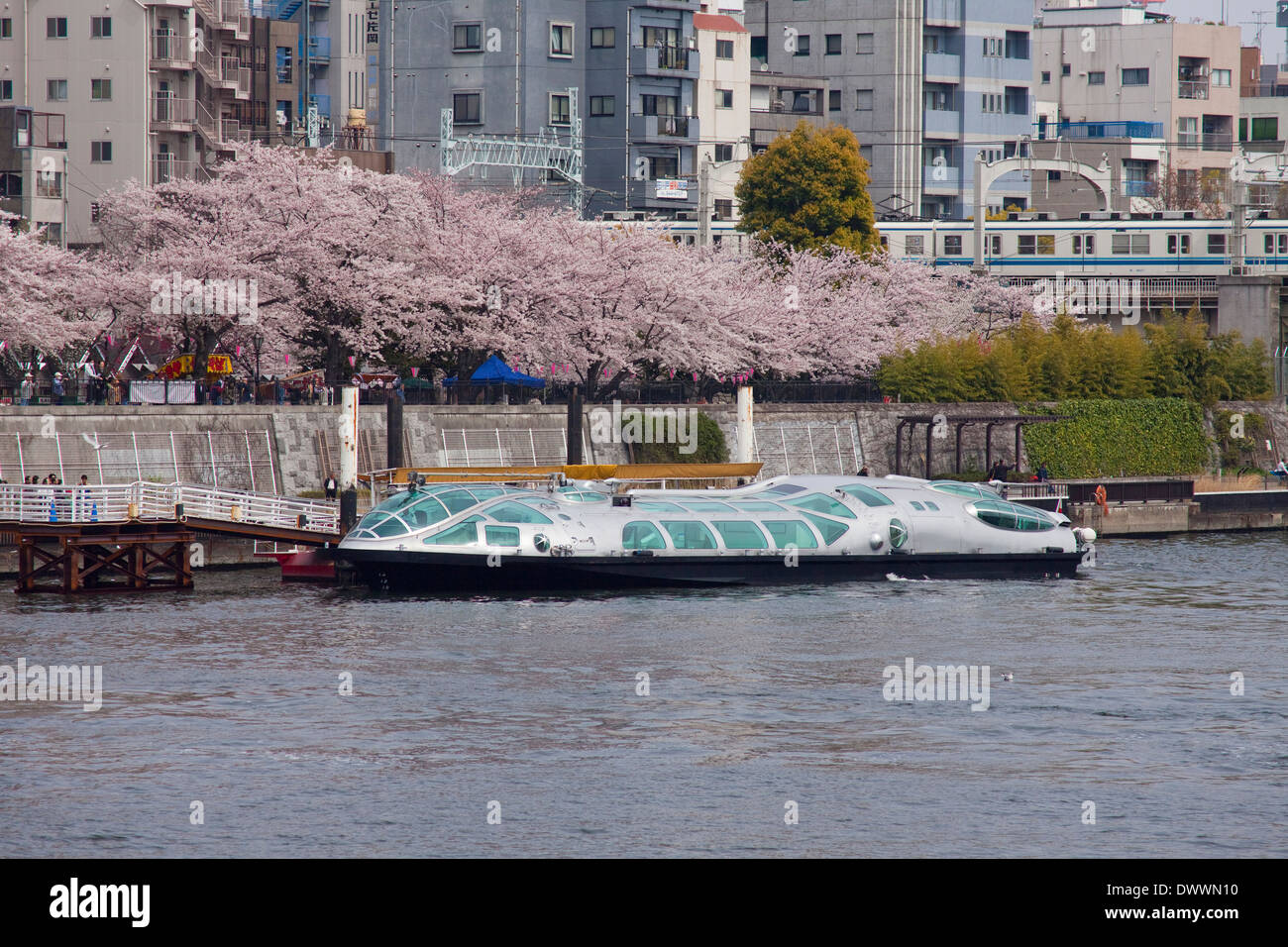 Tour boat on river, Tokyo, Japan Stock Photo