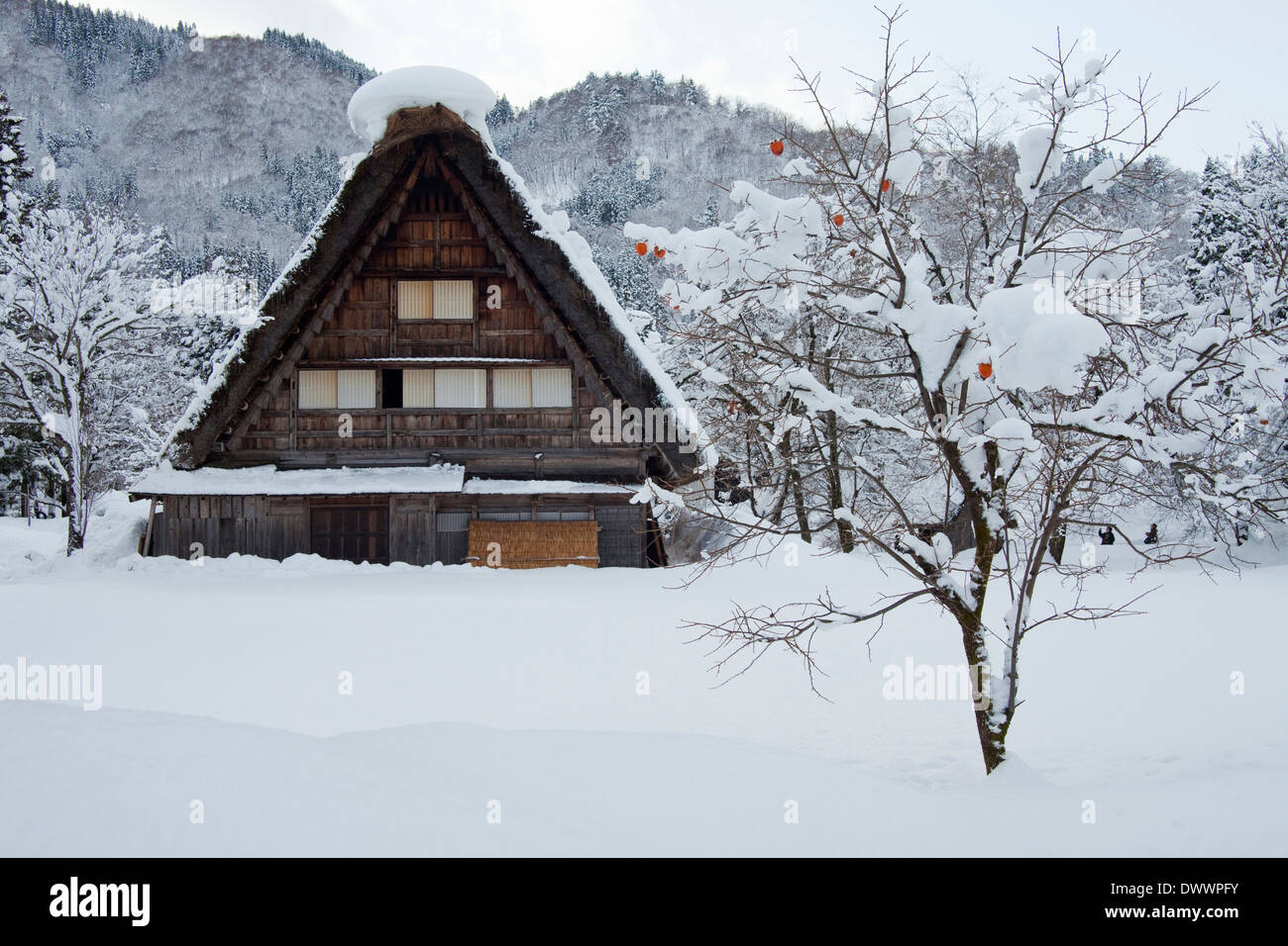 Old house in Shirakawa Village in winter, Gifu Prefecture, Japan Stock Photo