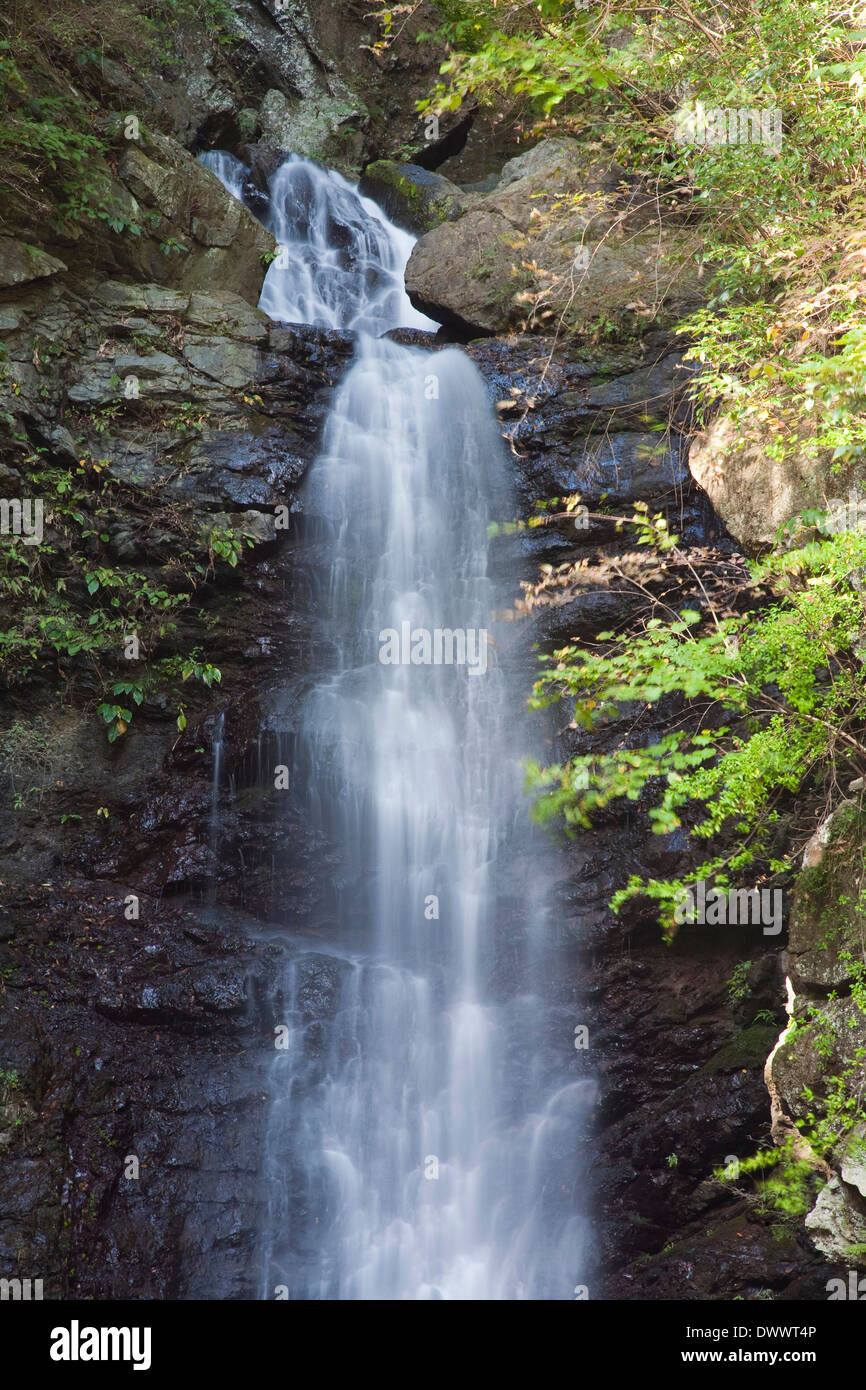 Waterfall in Ohyanagawa Valley, Yamanashi, Japan Stock Photo - Alamy