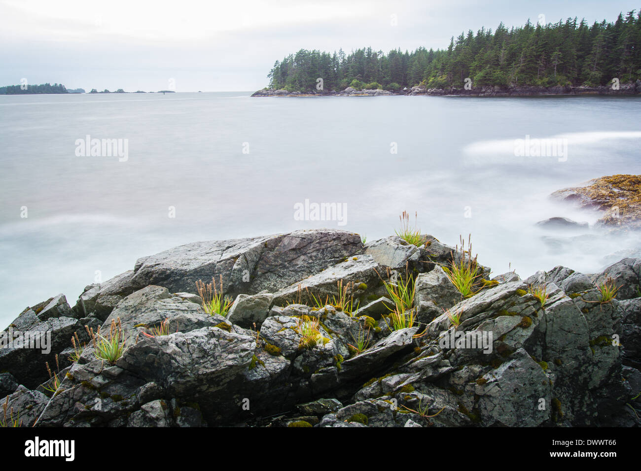 The shores of Bamdoroshni Island off the coast of Sitka, Alaska Stock Photo