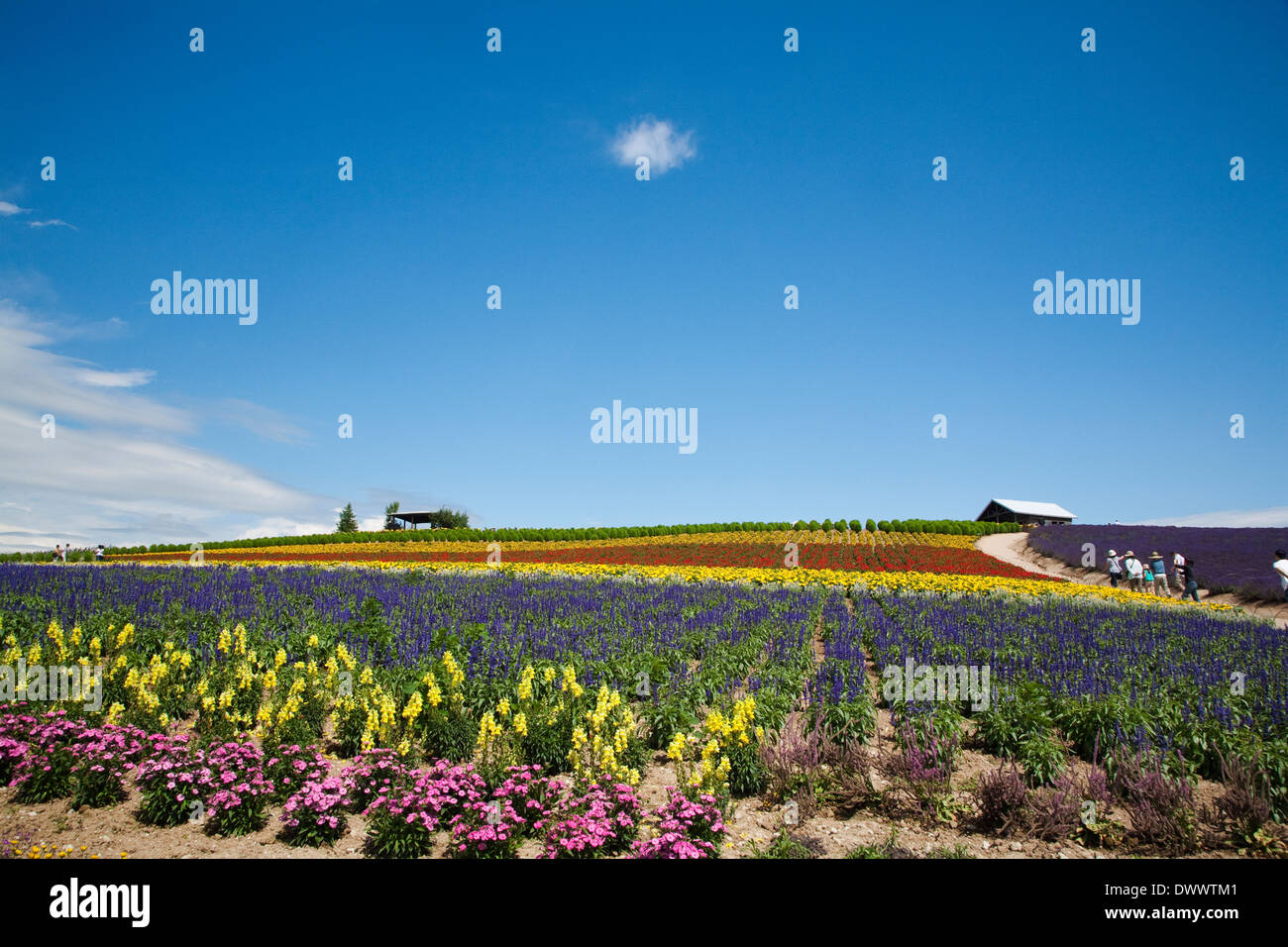 Kanno hires stock photography and images Alamy