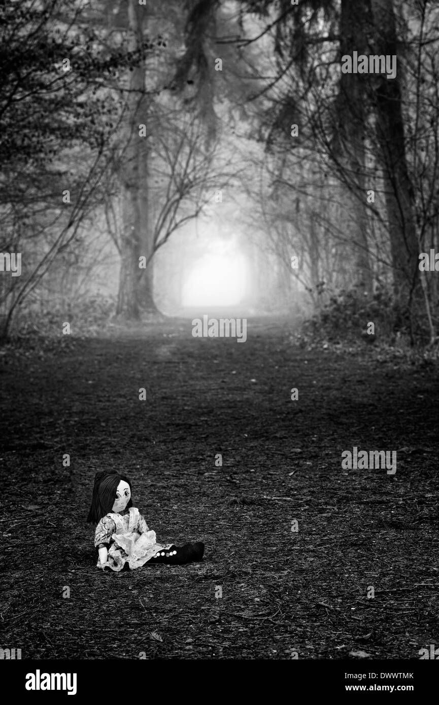 Rag Doll on a foggy misty woodland pathway in the winter. England. Monochrome Stock Photo